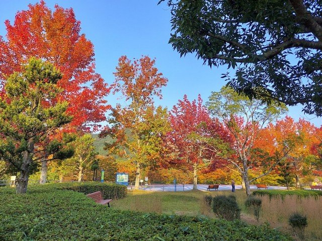 🌳 지쿠호 녹지(지쿠호료쿠치) 이미지 4